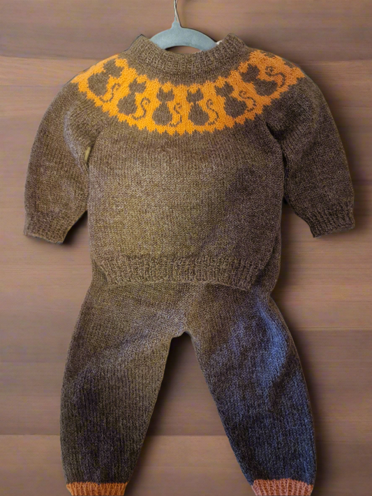 Sett med katte genser og bukse