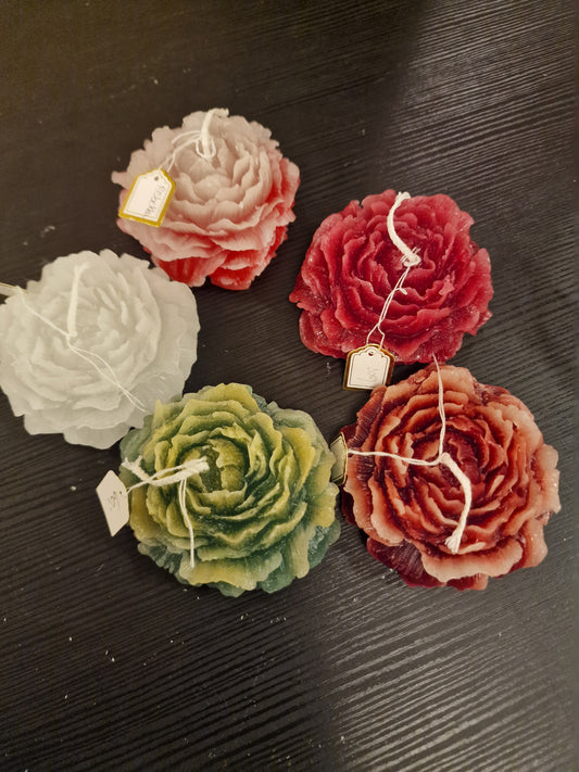 Rose lys.
