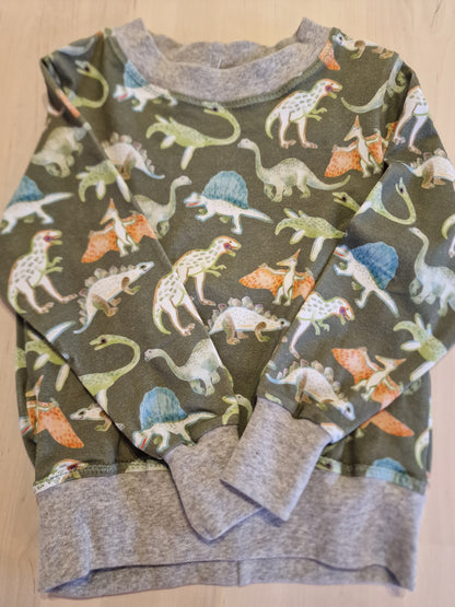 Dinosaur genser